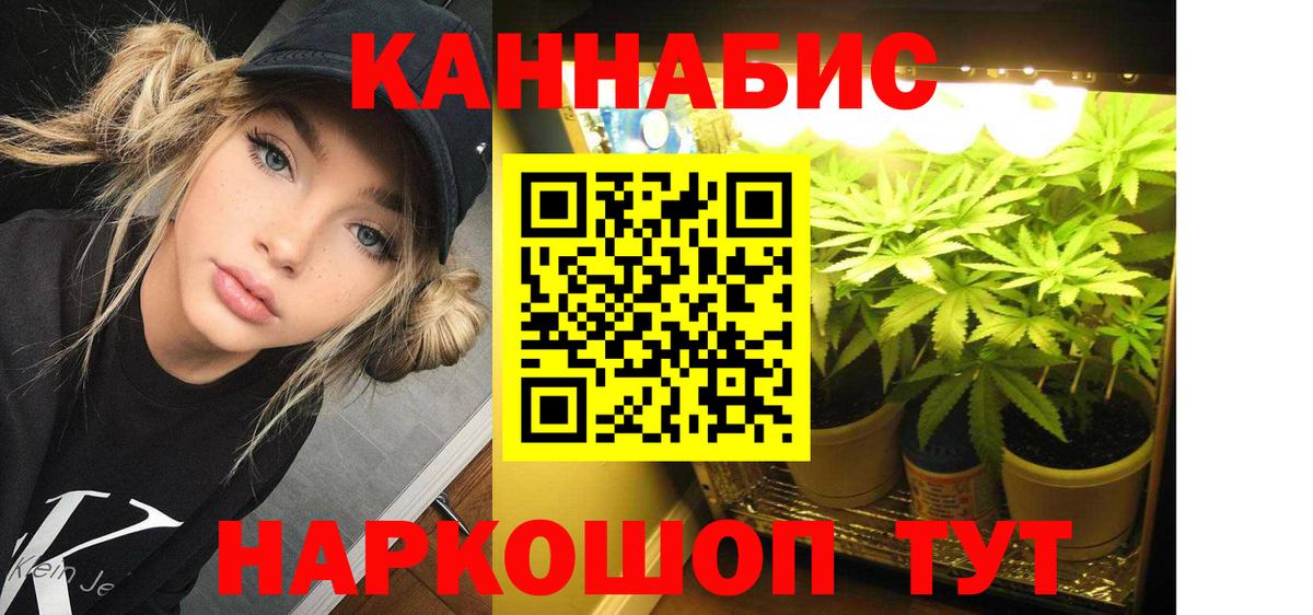 Конопля сатива  Вход с VPN  Конопля семена  Вязьма 